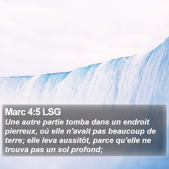 Marc 4:5 LSG Bible Study