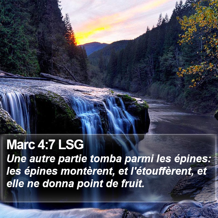 Marc 4:7 LSG Bible Study