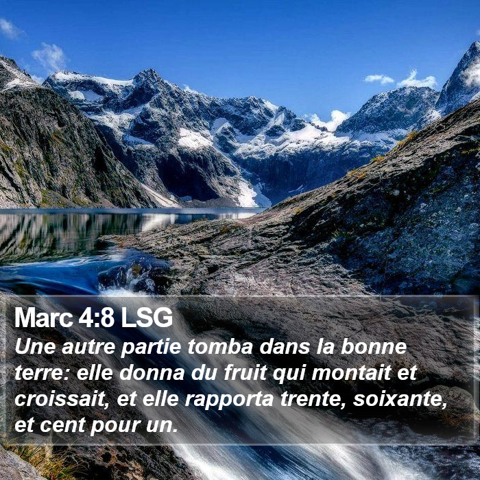 Marc 4:8 LSG Bible Study