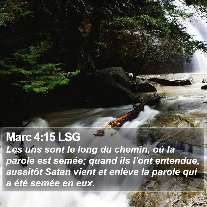 Marc 4:15 LSG Bible Study