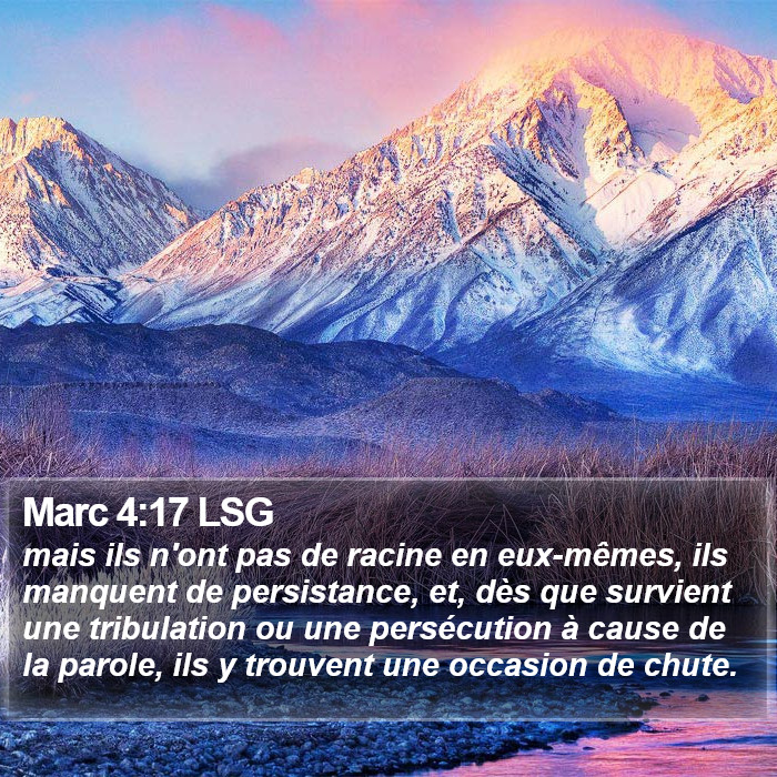 Marc 4:17 LSG Bible Study