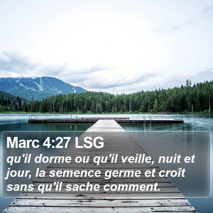 Marc 4:27 LSG Bible Study