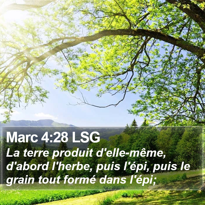 Marc 4:28 LSG Bible Study