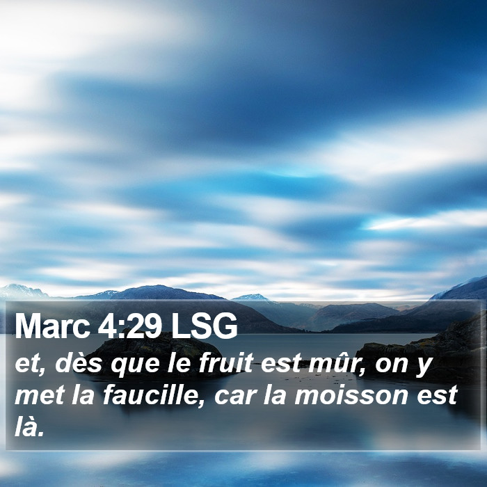 Marc 4:29 LSG Bible Study