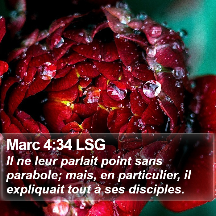 Marc 4:34 LSG Bible Study