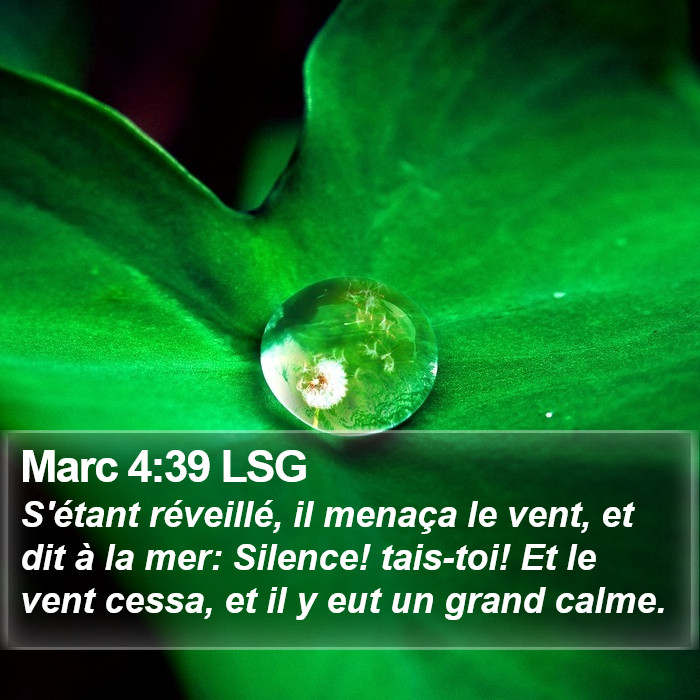 Marc 4:39 LSG Bible Study