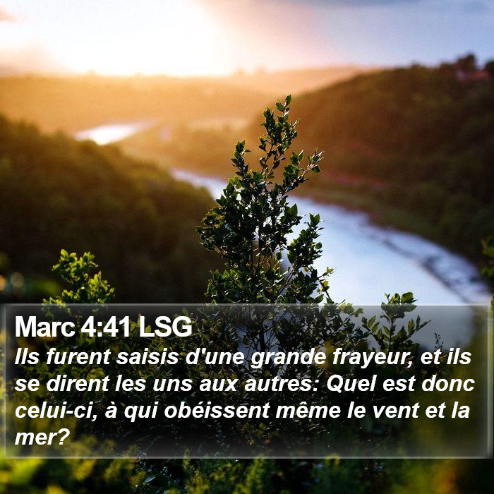 Marc 4:41 LSG Bible Study