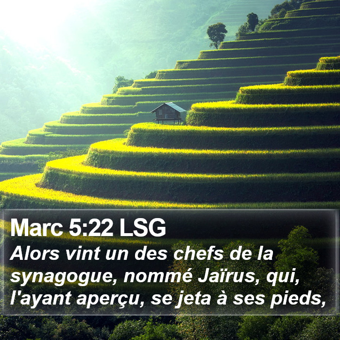 Marc 5:22 LSG Bible Study