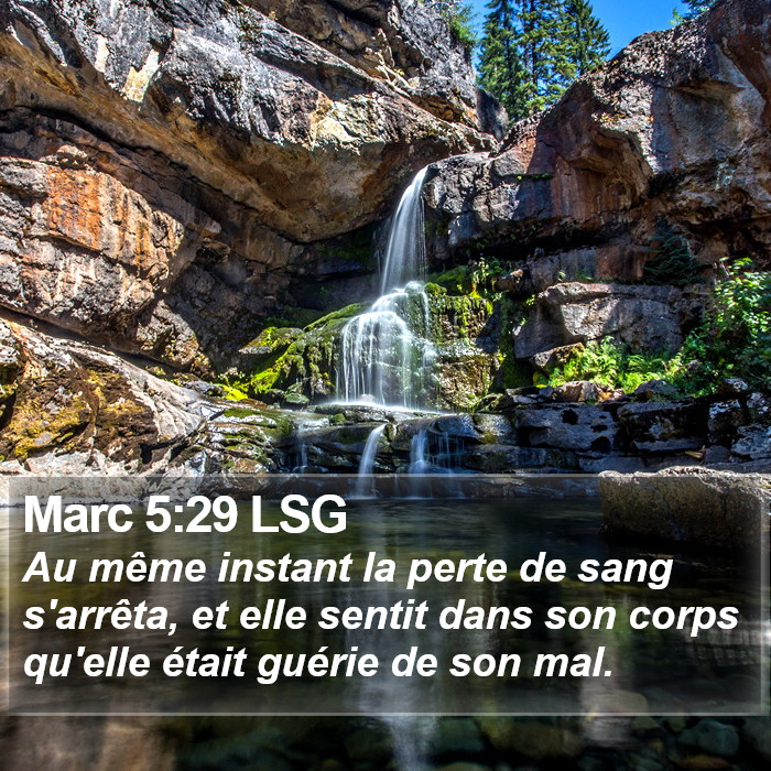 Marc 5:29 LSG Bible Study