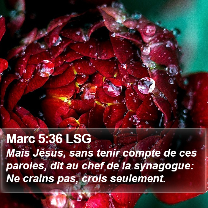 Marc 5:36 LSG Bible Study