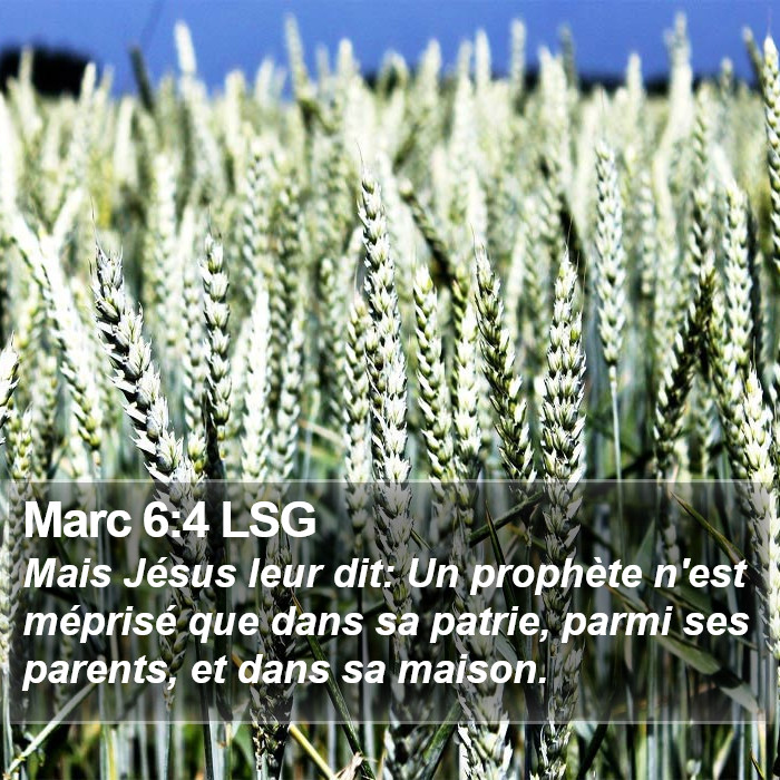 Marc 6:4 LSG Bible Study