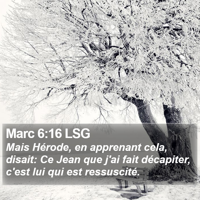 Marc 6:16 LSG Bible Study