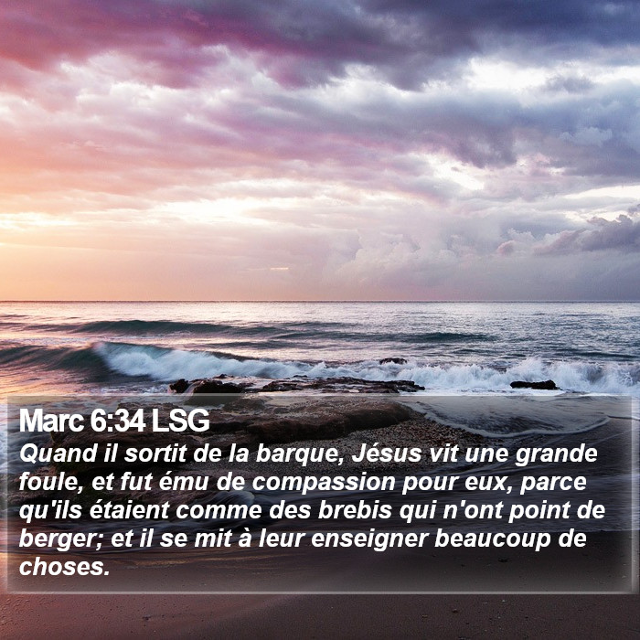 Marc 6:34 LSG Bible Study