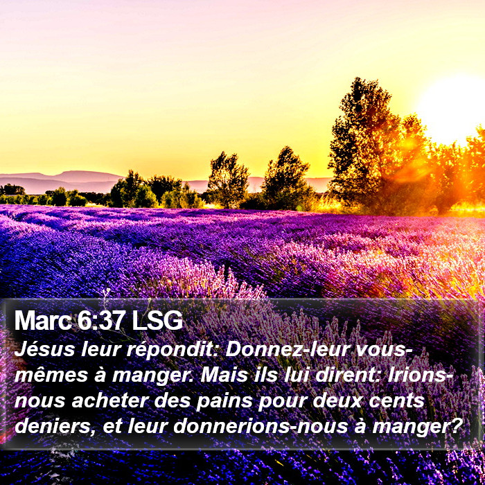 Marc 6:37 LSG Bible Study