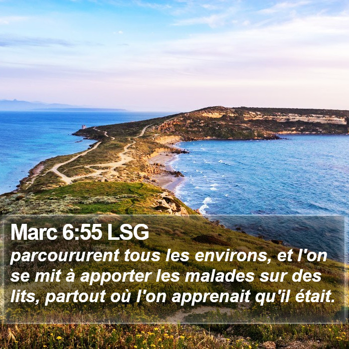 Marc 6:55 LSG Bible Study