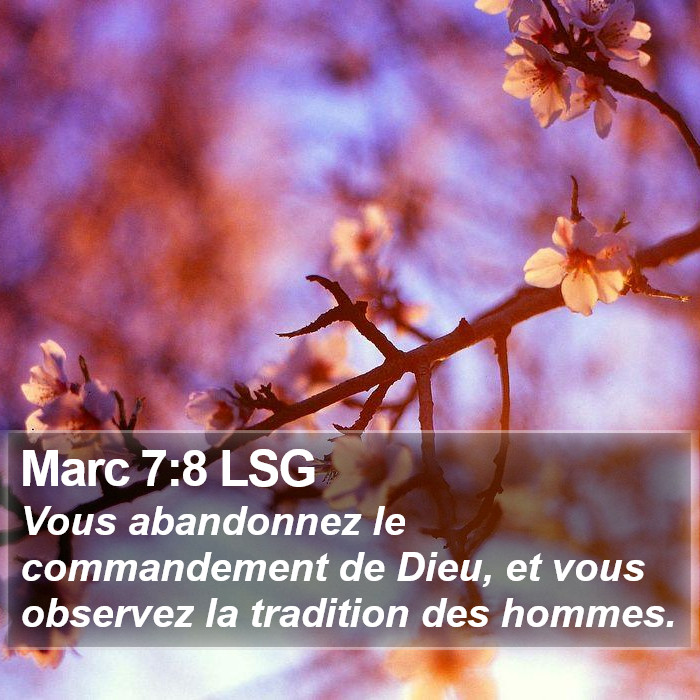 Marc 7:8 LSG Bible Study