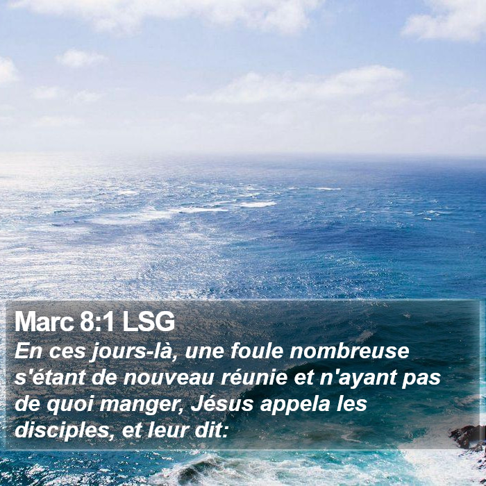 Marc 8:1 LSG Bible Study