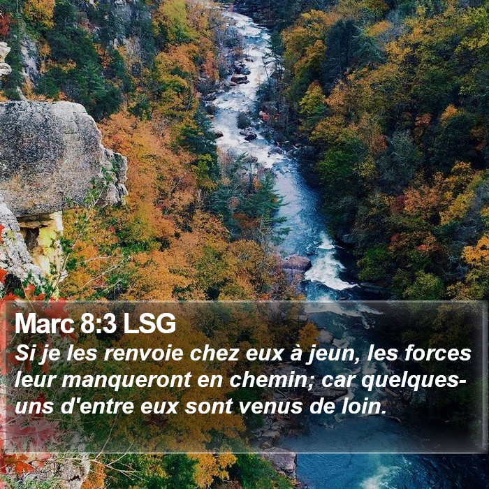 Marc 8:3 LSG Bible Study