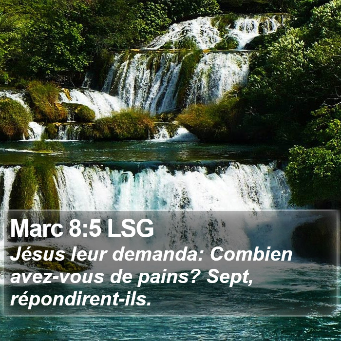 Marc 8:5 LSG Bible Study