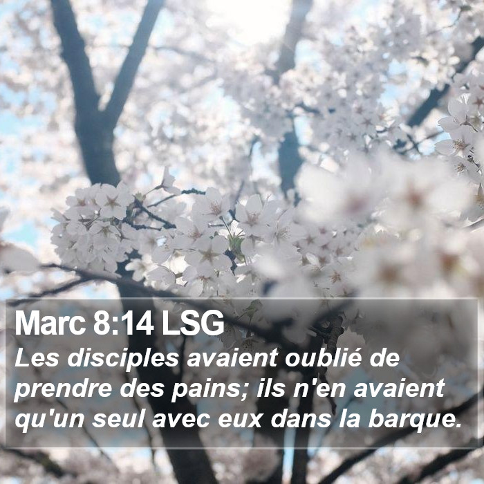 Marc 8:14 LSG Bible Study