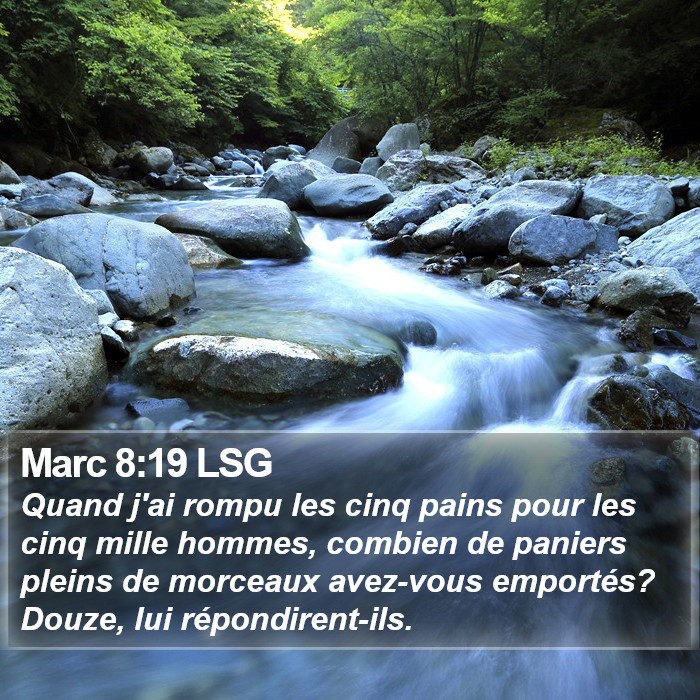 Marc 8:19 LSG Bible Study