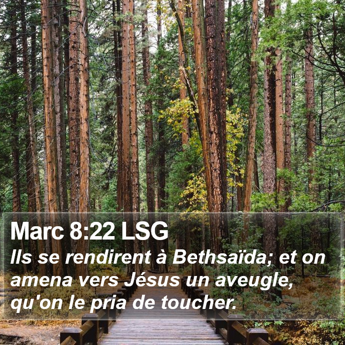 Marc 8:22 LSG Bible Study