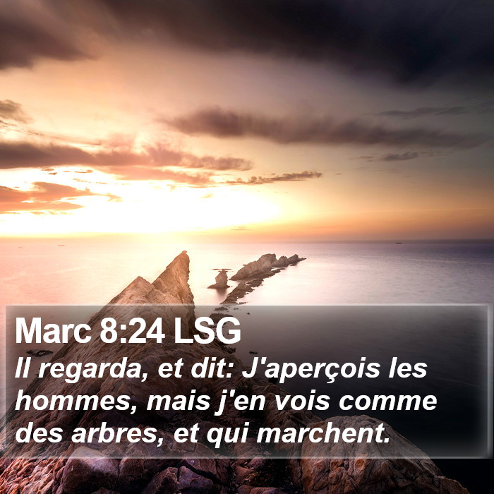 Marc 8:24 LSG Bible Study