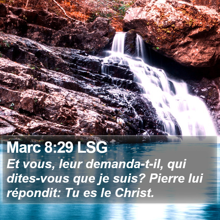 Marc 8:29 LSG Bible Study