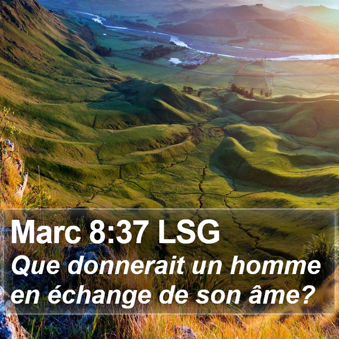 Marc 8:37 LSG Bible Study