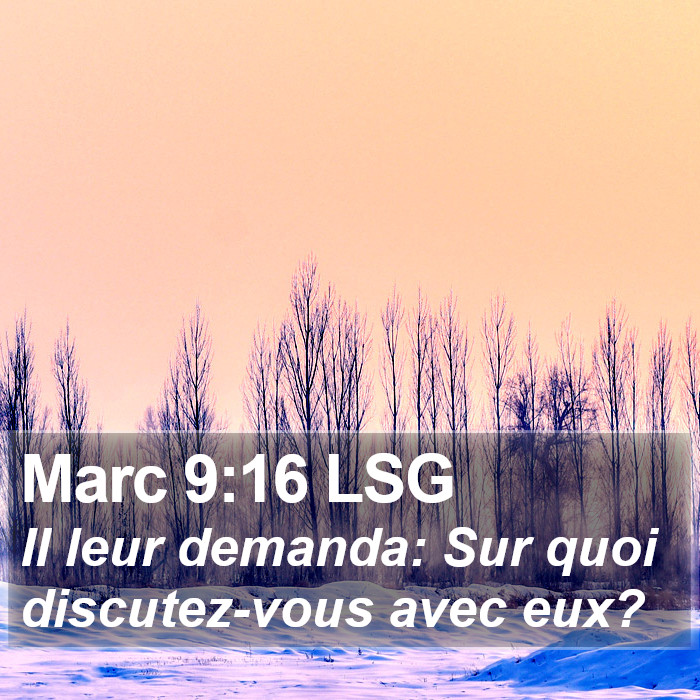 Marc 9:16 LSG Bible Study