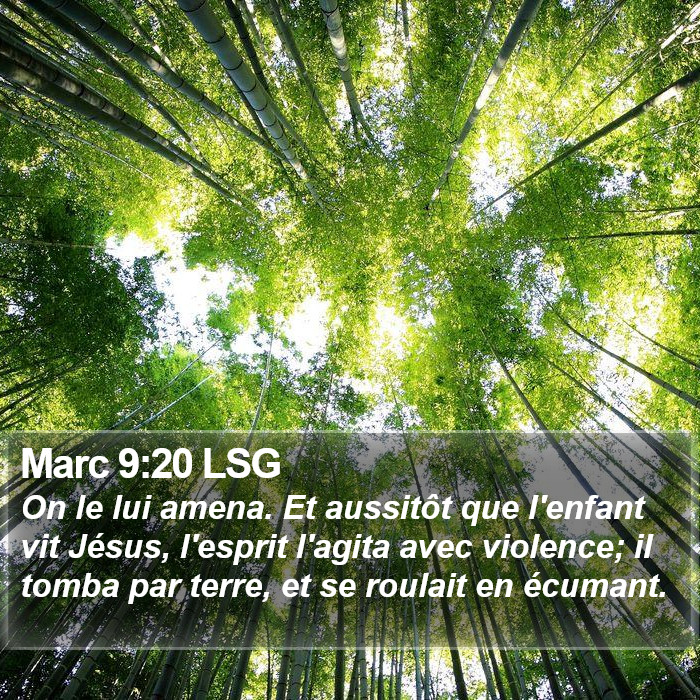 Marc 9:20 LSG Bible Study