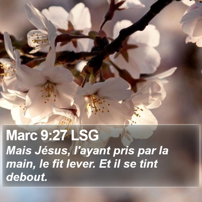 Marc 9:27 LSG Bible Study