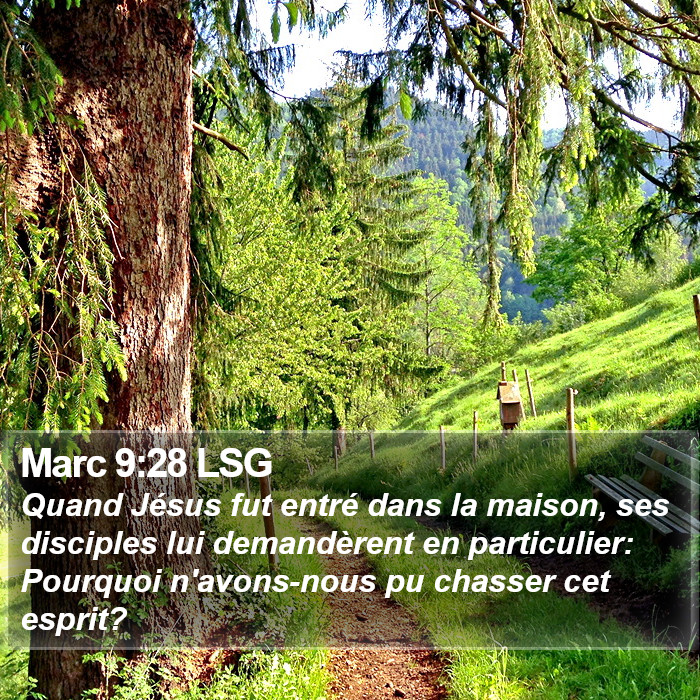 Marc 9:28 LSG Bible Study