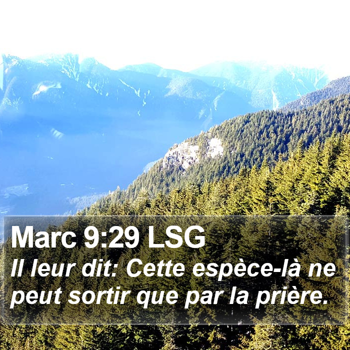 Marc 9:29 LSG Bible Study