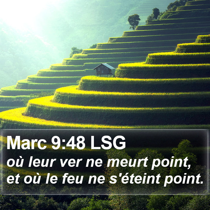 Marc 9:48 LSG Bible Study