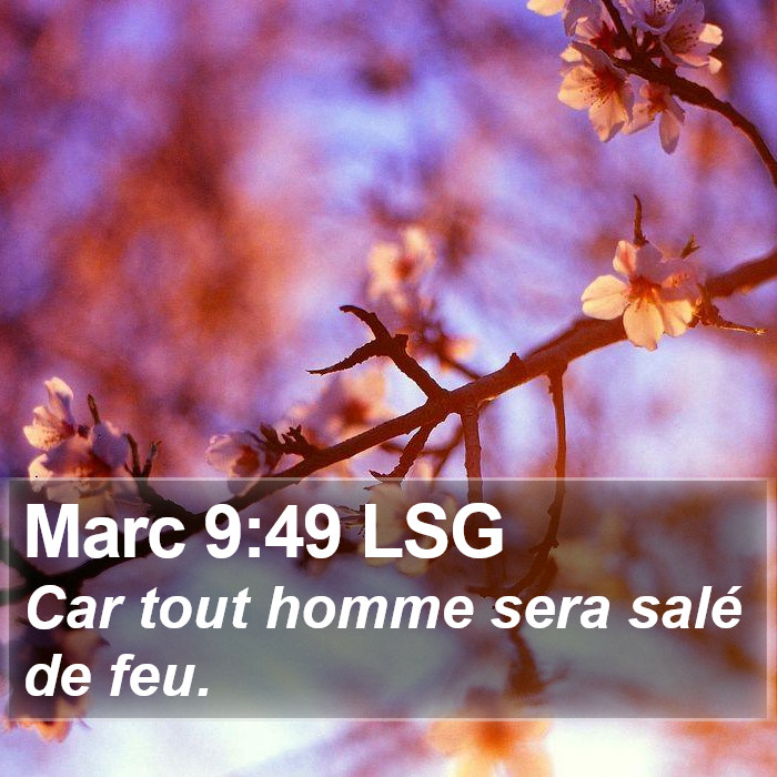 Marc 9:49 LSG Bible Study