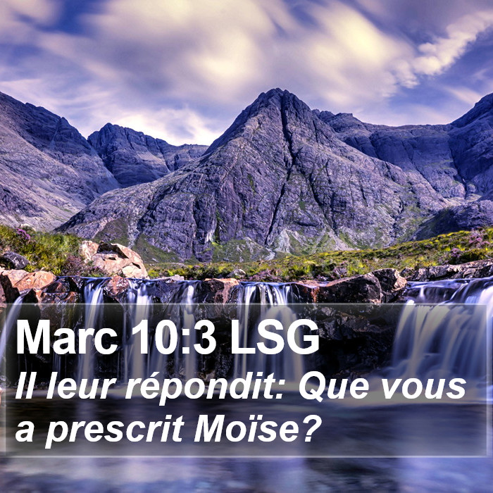 Marc 10:3 LSG Bible Study