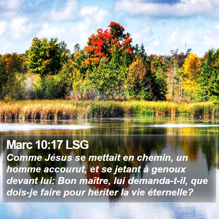 Marc 10:17 LSG Bible Study