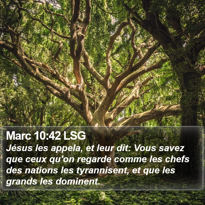 Marc 10:42 LSG Bible Study