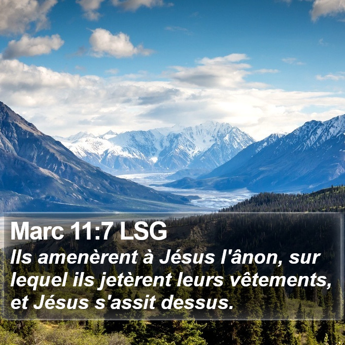 Marc 11:7 LSG Bible Study