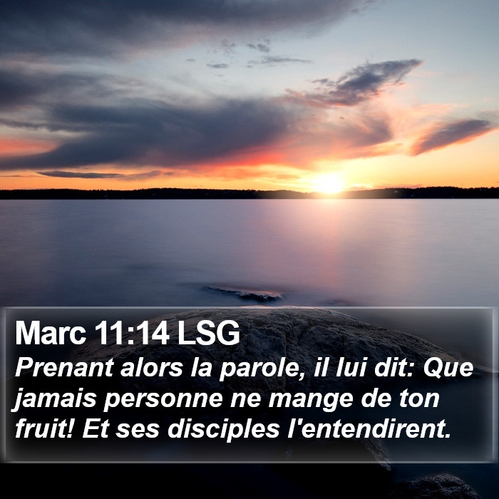 Marc 11:14 LSG Bible Study