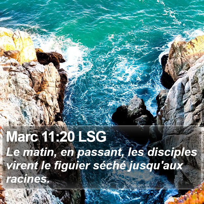 Marc 11:20 LSG Bible Study