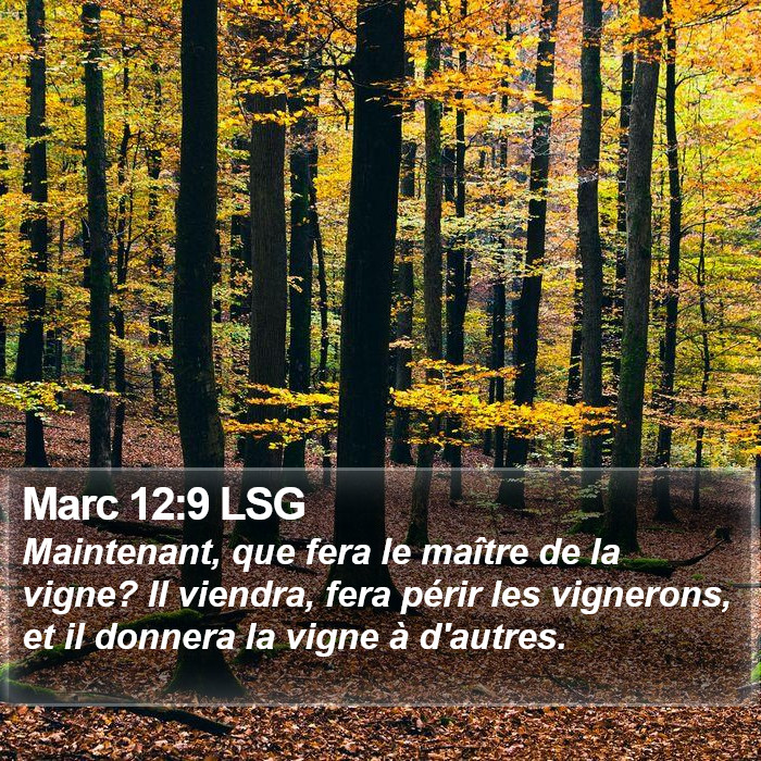 Marc 12:9 LSG Bible Study