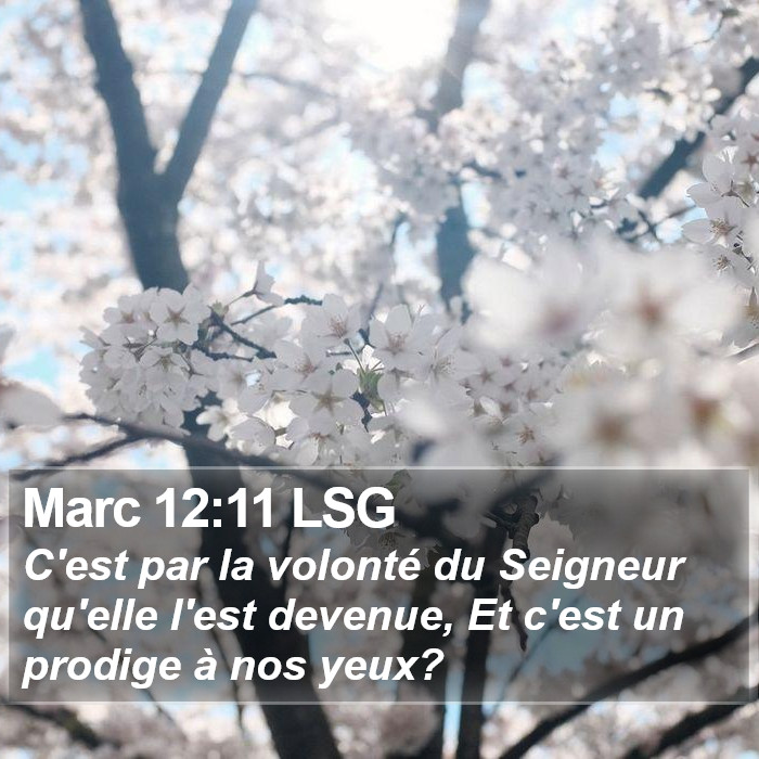 Marc 12:11 LSG Bible Study