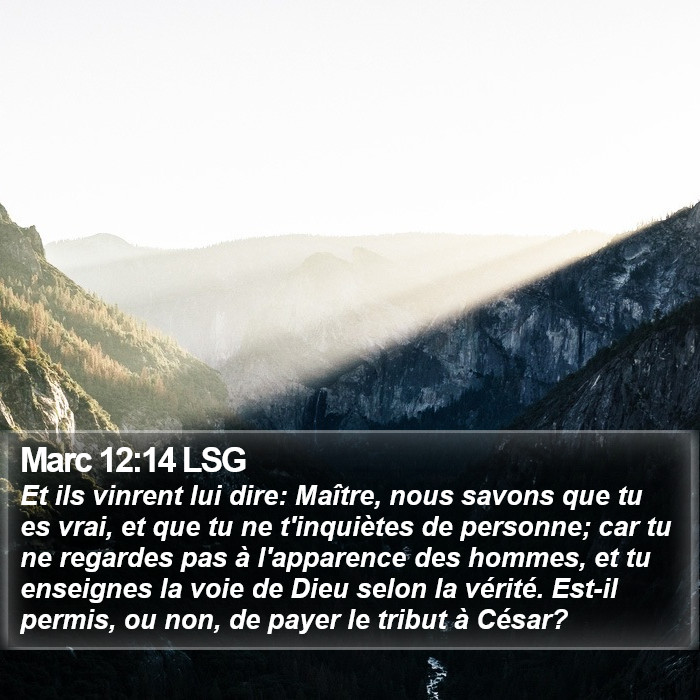 Marc 12:14 LSG Bible Study