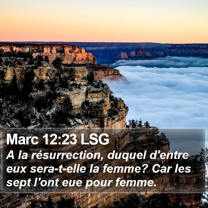 Marc 12:23 LSG Bible Study