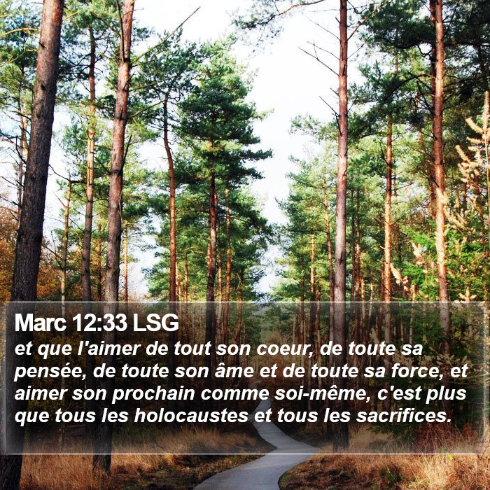 Marc 12:33 LSG Bible Study