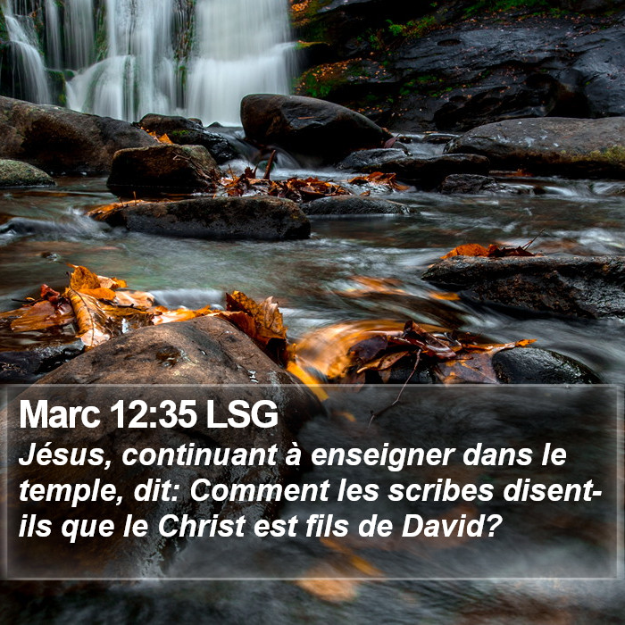 Marc 12:35 LSG Bible Study