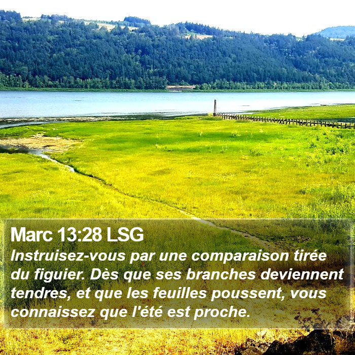 Marc 13:28 LSG Bible Study