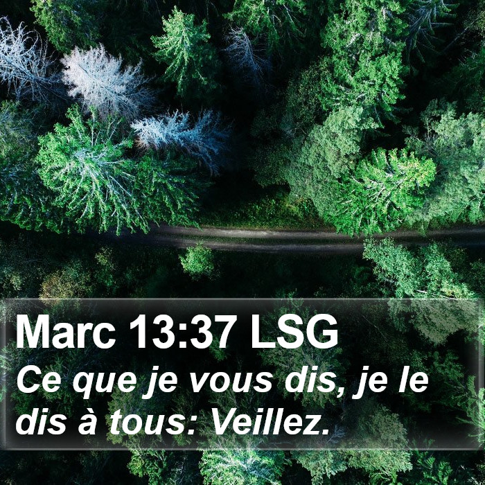 Marc 13:37 LSG Bible Study